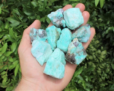 Raw Natural Amazonite Crystals: Choose How Many Pieces (Rough Amazonite Crystal) - Image 1 of 4