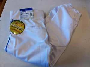 Champro Sports Adult Women S Piped Knicker Baseball Pant White w/ Blue Stripe - Picture 1 of 8