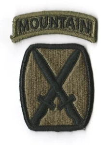 10th MOUNTAIN DIVISION "Patch & Tab" Subdued (Fabrication 1970-1980) - Foto 1 di 1
