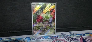 Sprigatito Illustration Rare SV02: Paldea Evolved 196/193 NM - Picture 1 of 10