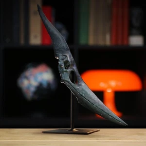 Pterosaur Dinosaur Skull Painted 3D Model & Stand- Home Decor Gifts for Him - Picture 1 of 2
