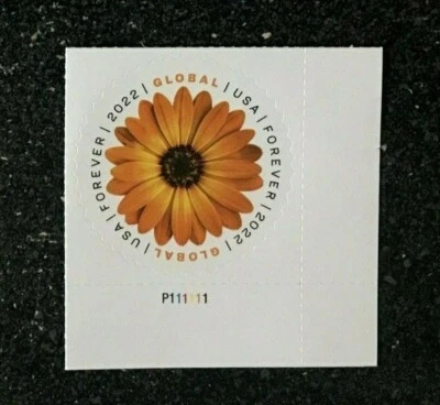 2022USA #5680 Global Forever Rate - African Daisy -  Plate Number Single Mint - Image 1 of 4