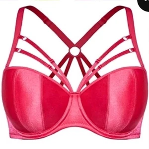 Bra 16D Vixen Demi, Pink Fox & Royal, Sexy Strappy Bra - Picture 1 of 11