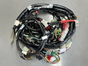 2015 SYM Mio 50 Main Sub Wire Harness Leads - CLEAN - Picture 1 of 13