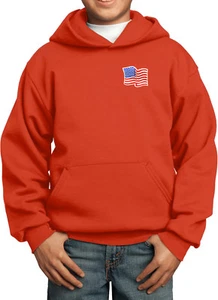 Buy Cool Shirts Kids Waving USA Flag Hoodie Patch Pocket Print - Picture 1 of 20