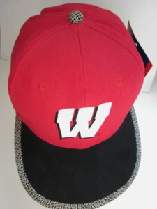 Vtg 1996 Wisconsin Badgers Snapback Hat Cap Reebok Big Ten Herringbone Rare NWT - Picture 1 of 9