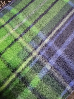 Fleece Fabric, Green & Blue Plaid, 2 yds x 44" - Image 1 of 4