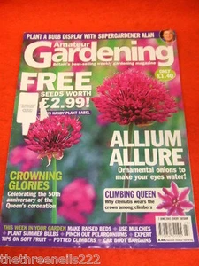 AMATEUR GARDENING - ALLIUM ALLURE - JUNE 7 2003 - Picture 1 of 1