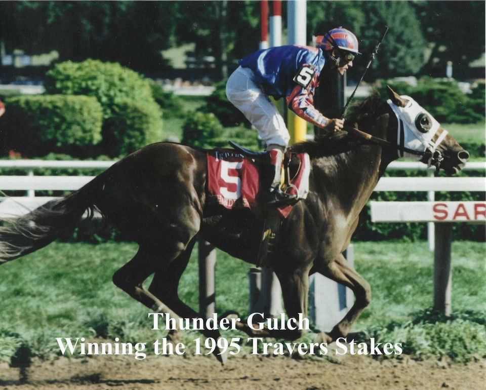 1995 - THUNDER GULCH ganador The Travers Stakes - 10" x 8" Foto 1 de 1