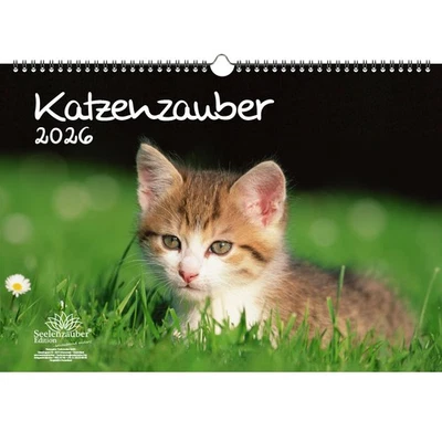 SEELENZAUBER GMBH Katzenzauber DIN A3 Kalender für 2026 Katzen und Katzenbabys - Seelenzauber