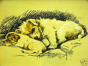 Lucy Dawson 1937 Fox Terrier mamá y cachorro antiguo estampado de perro mate - Imagen 1 de 3