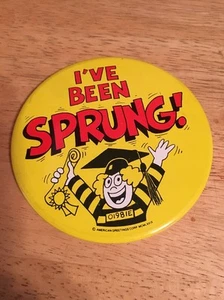 Vintage 1979 Graduation I'VE BEEN SPRUNG! Hi Brows American Greetings PinBack - Imagen 1 de 4