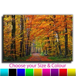 Autumn Woods Landscape Canvas Wall Art Print Picture Various Sizes 4T - Picture 1 of 11