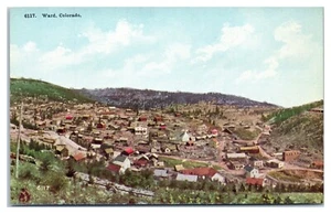 Postal Bird's Eye View of Ward Colorado - Imagen 1 de 2