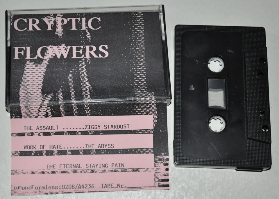 Cryptic Flowers: st [Gothic Rock DEMO TAPE MC with the assault + ziggy stardust - Bild 1 von 1