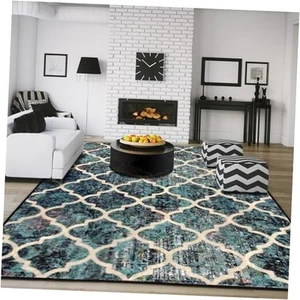 Area Rugs 4x6 Washable Living Room Rug,Non-Slip Non-Shedding Ultra-Soft Floor - Picture 1 of 8