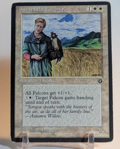 Homelands Magic: The Gathering Soraya the Falconer - Picture 1 of 2