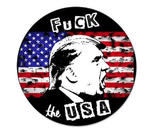 FUCK THE USA Punk Button Pin NEU 2,5cm Punkrock Oi! Skinhead Bush Fuck Trump - Picture 1 of 2