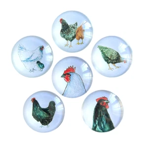 Farmhouse Chicken Art Magnets - Set of 6 - with Galvanized Metal Display Holder - Picture 1 of 7