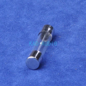 100pcs Slow Blow 250V 1A 6x30mm Glass Fuse Acting Tube Fuse for Tube Amplifier - Picture 1 of 4