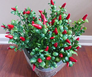 Artificial Plastic Plants Set of 4 Red Chili Grass Home Decoration - Picture 1 of 5