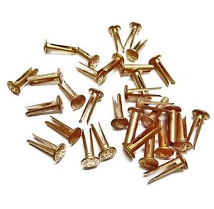 X 7/16 Length Oval Head SD3-14-PL Pure Brass 9/16 Dia Split Rivet with A 5/16 Dia Pack of 100 Pieces 