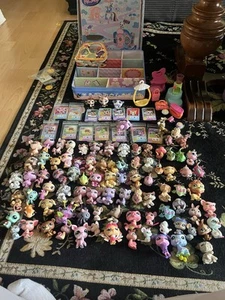 Kolekcja Littlest Pet Shop - Zdjęcie 1 z 3