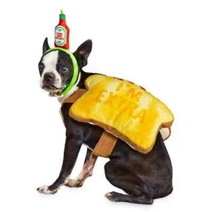 Bootique Dog Halloween Costume S Toast of the Town Flamin Dawg Sauce Small - Picture 1 of 3