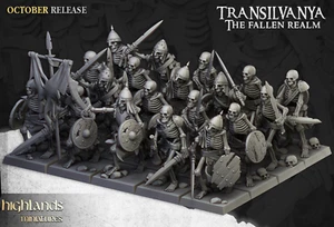 Skeleton Warriors for Fantasy Wargaming by Highland Miniatures - Picture 1 of 12