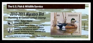 US.# RW77A  Federal Duck Stamp Issue of 2010-11 MINT POST OFFICE FRESH!  - Picture 1 of 1