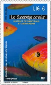 fsat 2024 taaf antarctic fish Suezichthys ornatus Tristan rainbow wrasse 1v mnh - Picture 1 of 1