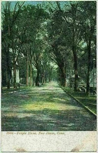 Temple Street, New Haven, Connecticut ca.1905 - Picture 1 of 5