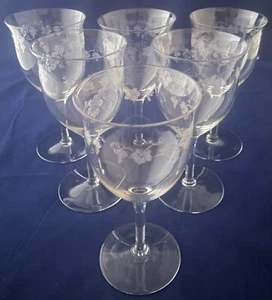 Vintage Etched Fostoria 6 Water Goblet Wine Glass Grapevine Pattern FOSVIN 1920s - Picture 1 of 11