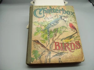 1909 Chatterbox HC Book Of Birds Childrens Antique Book Dana Estes Harrison Weir - Imagen 1 de 17