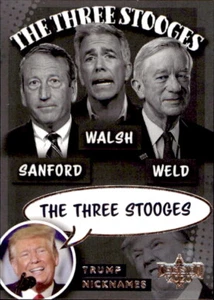 2020 Decision 2020 Nicknames NN18 Mark Sanford Joe Walsh Bill Weld Three Stooges - Picture 1 of 1