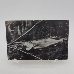 Vintage RPPC B&W Photo Postcard of Fish Out of Water POSTED 1941 USED - Picture 1 of 13