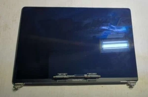 Genuine MacBook Pro 15 A1990 2018 2019 LCD Screen Gray GRADE C - Photo 1/9