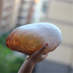 Natural Oyster Shell Polished Mussel Shells Fish Tank Ornament Decor 20 - 27 cm - Picture 1 of 5