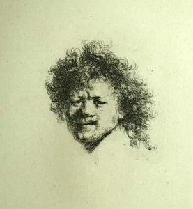 REMBRANDT AUX CHEVEUX HÉRISSÉS estampe gravure eau forte de Rembrandt de 1880 - Imagen 1 de 2