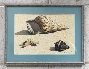 Muschel, Strand, Maritim, Original Aquarell Gemälde, gerahmt, 16x12 inch, Kunst - Bild 1 von 1