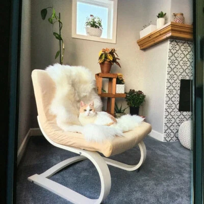 Cubierta de asiento de piel de oveja real para oficina en casa alfombra de regalo para casa nueva Foto 1 de 4