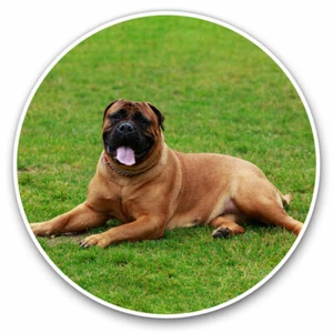 2 x Vinyl Stickers 30cm - Bullmastiff Large Dog Breed Cool Gift #3241 - Afbeelding 1 van 9