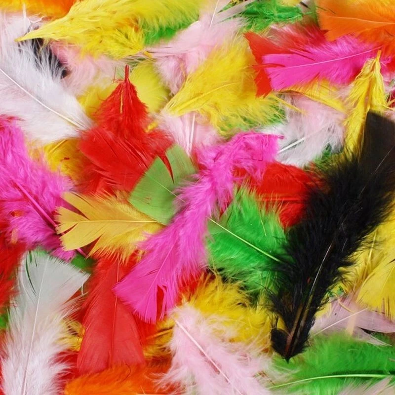 100 Stück Federn ca.12 cm Hühnerfedern Basteln schwarz lila grün - Bild 1 von 1