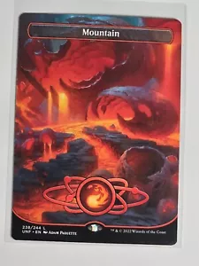 Mountain 238/244 Non Foil Borderless Land Unfinity Magic The Gathering NM - Picture 1 of 2