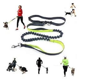 Hands Free Dog Leash for outdoor active Durable Dual-Handle Bungee Leash - Picture 1 of 6