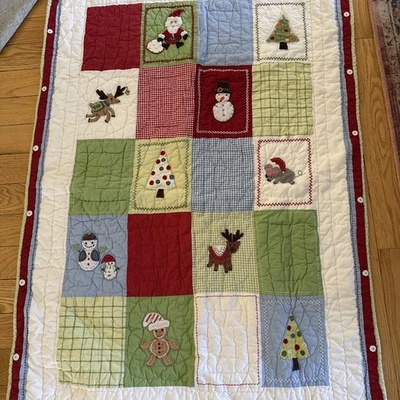 Edredón Pottery Barn Kids 48x35 pulgadas Foto 1 de 4