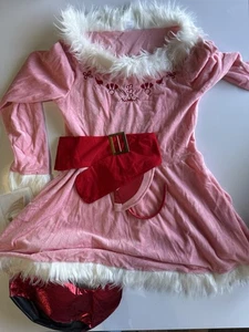 Women’s Adult Small Large Jovie The Elf Halloween Costume With Ears - Picture 1 of 5