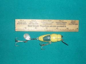 COOL ANTIQUE WOOD HANDMADE FOLK ART LOOKALIKE CREEK CHUB BEETLE FISHING LURE - Picture 1 of 5