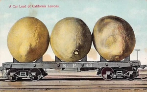Train Car Load California CA Lemons From SP 43 Exaggeration Postcard - Picture 1 of 2