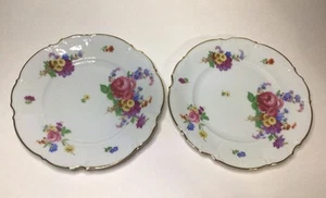 Juego de 2 platos de ensalada floral Hutschenreuther 8939 7/8 pulgadas Alemania - Imagen 1 de 24